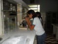 /album/aula%20de%20ci%c3%aancias%20na%20esta%c3%a7%c3%a3o%20de%20piscicultura-dnocs/sam-6931-jpg/