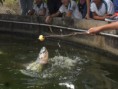 /album/aula%20de%20ci%c3%aancias%20na%20esta%c3%a7%c3%a3o%20de%20piscicultura-dnocs/sam-6935-jpg/