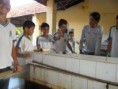 /album/aula%20de%20ci%c3%aancias%20na%20esta%c3%a7%c3%a3o%20de%20piscicultura-dnocs/sam-6899-jpg/